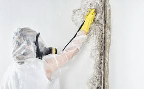 Best Forensic Mold Investigation  in Sanford, FL